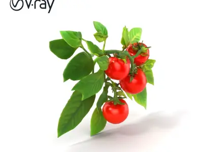 Tomato Plant Detailed Texture model pack Low-poly 3D model