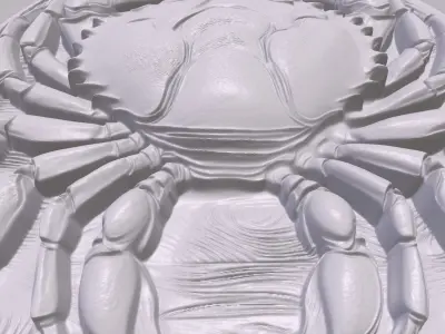 Crab 2 basrelief for 3D printing 3D print model