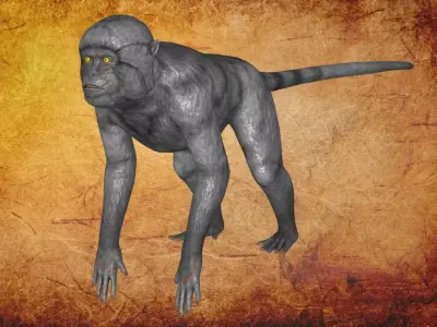 Animal - Monkey Low-poly 3D model