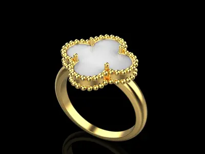 Ring model 576 3D print model