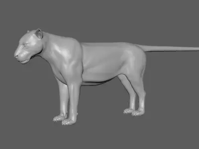 Tiger 3D model