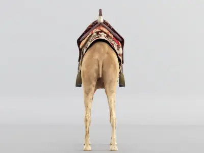Camel 3D model