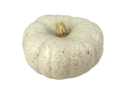 Photorealistic Kabocha Squash 3D Scan 1 3D model
