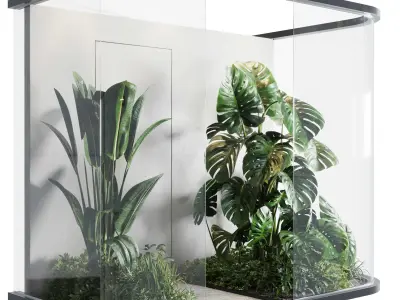 Glass Garden - indoor plant 297 Low-poly 3D model