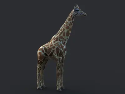 Giraffe XGEN CORE ANIMATED 3D model