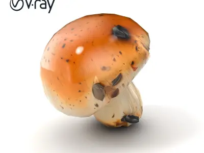 Realistic Damaged Boletus Mushroom model pack Low-poly 3D model