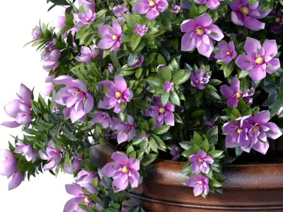 Decorative Magnolia tree garden pot decoration classic style 3D model