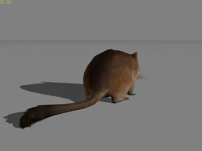 Sand Mouse Animal Low-poly 3D model