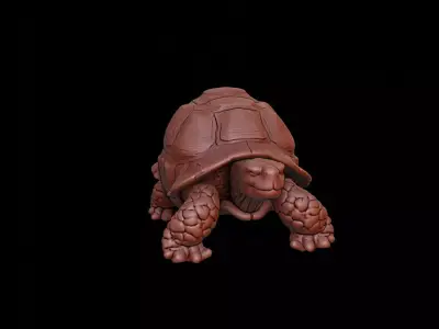 Tortoise Animal Sculpture 3D print model buy