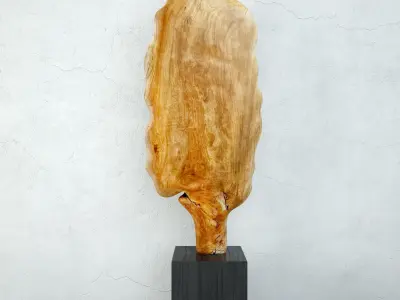 Large Wood Carved Leaf Decor 3D model