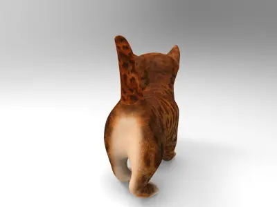 3D cute kitten cat animated model Low-poly 3D model