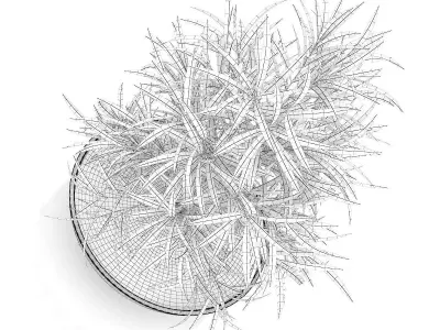 Plant in Flat Pot 3D model