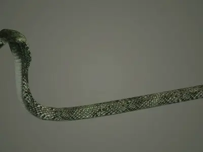 snake reptile snakes serpent python anaconda mamba cobra 3D model