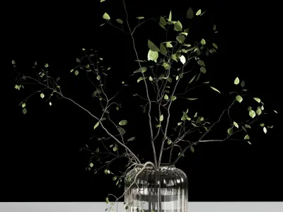 Branches plant with galss vase white bouquet 22 3D model