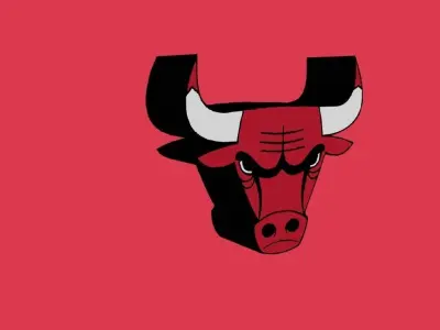 Chicago Bulls Team Logo 3D model