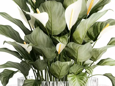 Realistic Bouquet Vase Green Leaves Spathiphyllum 614 3D model