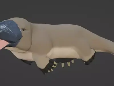 Pam the Platypus Low-poly 3D model