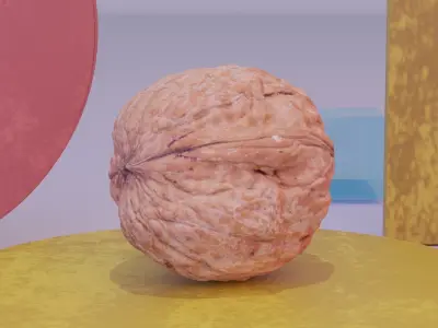 Walnut fruit 02 high-poly 3D model