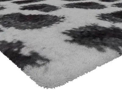 Rug Set 1848 3D model