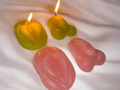 Kit Mold anatomy penis and vagina 3D print model