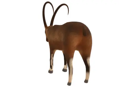 IBEX- GOAT  3D model