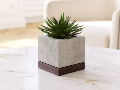 Small Aloes in concrete pot 3D model