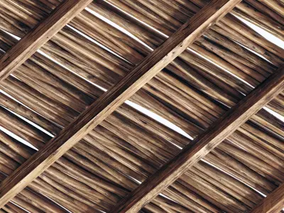 Branch thin thick decor n1 3D model