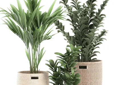 Decorative plants in a basket 568 3D model