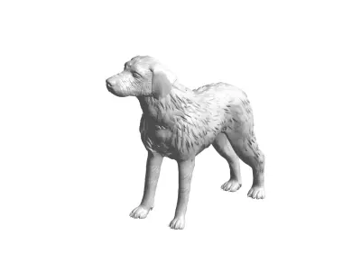 Dog - 3D model 2