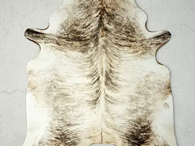 Rugs 4 zebra skin rug 3D model