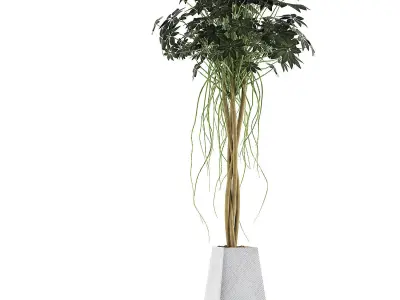 Plants Collection 66 3D model