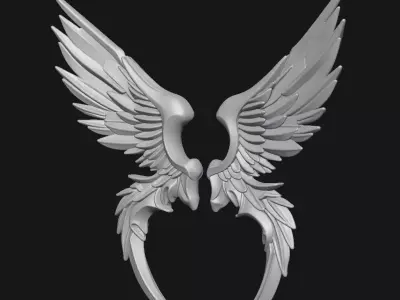 Wings 3D print model