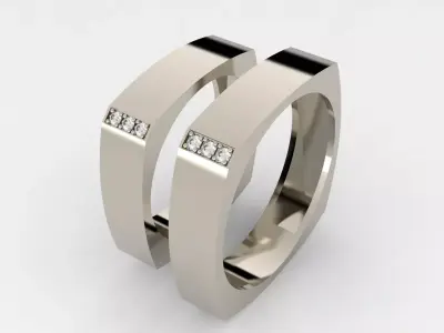 Parallel Hearts Wedding Ring Set 3D print model