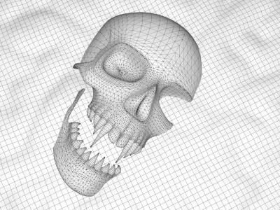 Horror human Skull Low-poly 3D model