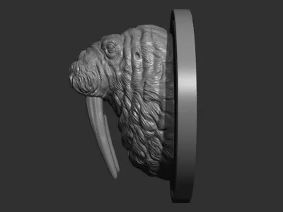 Walrus head 3D print model