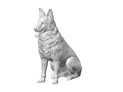 German Shepherd Dog 3D model purchase