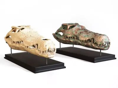 Crocodile skull Low-poly 3D model