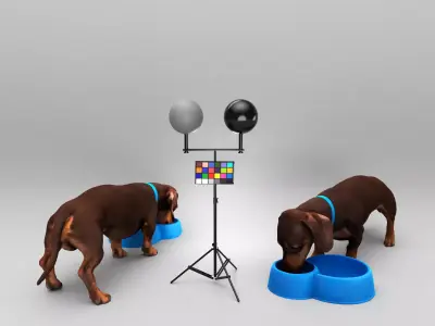 Dog with bowl 32 Low-poly 3D model