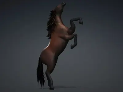 Horse-G8 3D model