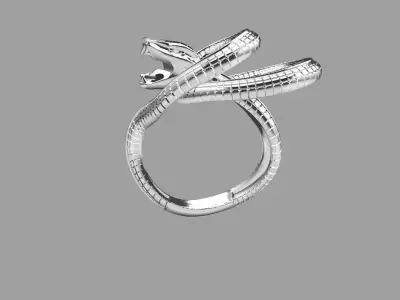snake ring1 3D print model
