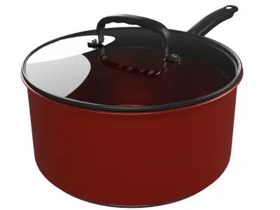 Cooking Pot 3D model