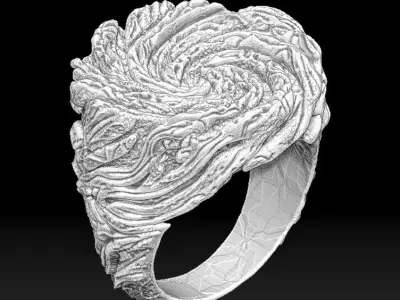 Vortex Ring 3D print model