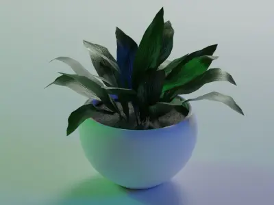 Aspidistra indoor plant PBR Ready for Unreal Engine 5 Low-poly 3D model