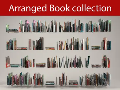 Book collection arranged 3D model
