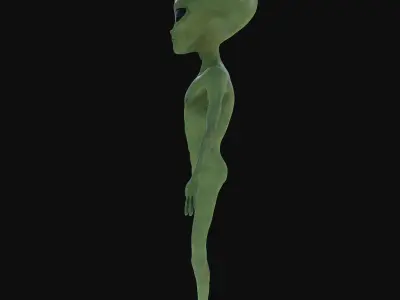 Realistic Alien 4k Rigged Low Poly Low-poly 3D model