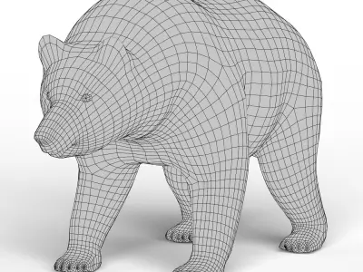 Bear Base Mesh Low-poly 3D model