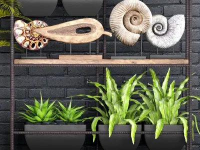 Decorative set plants on shelf 3D model