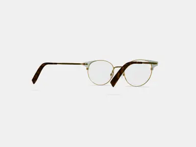 Patel Eyeglasses in Polished Gold with Chantilly 3D model