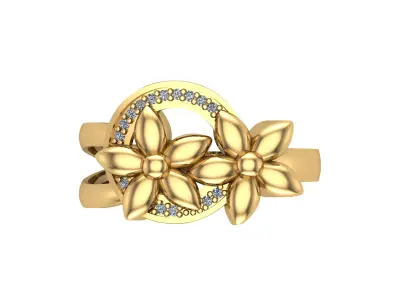 Ringe Free 3D print model