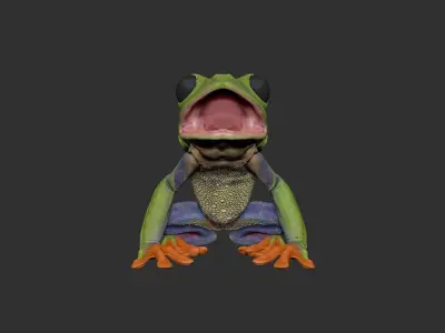 Red Tree Frog Sculpt  Low-poly 3D model